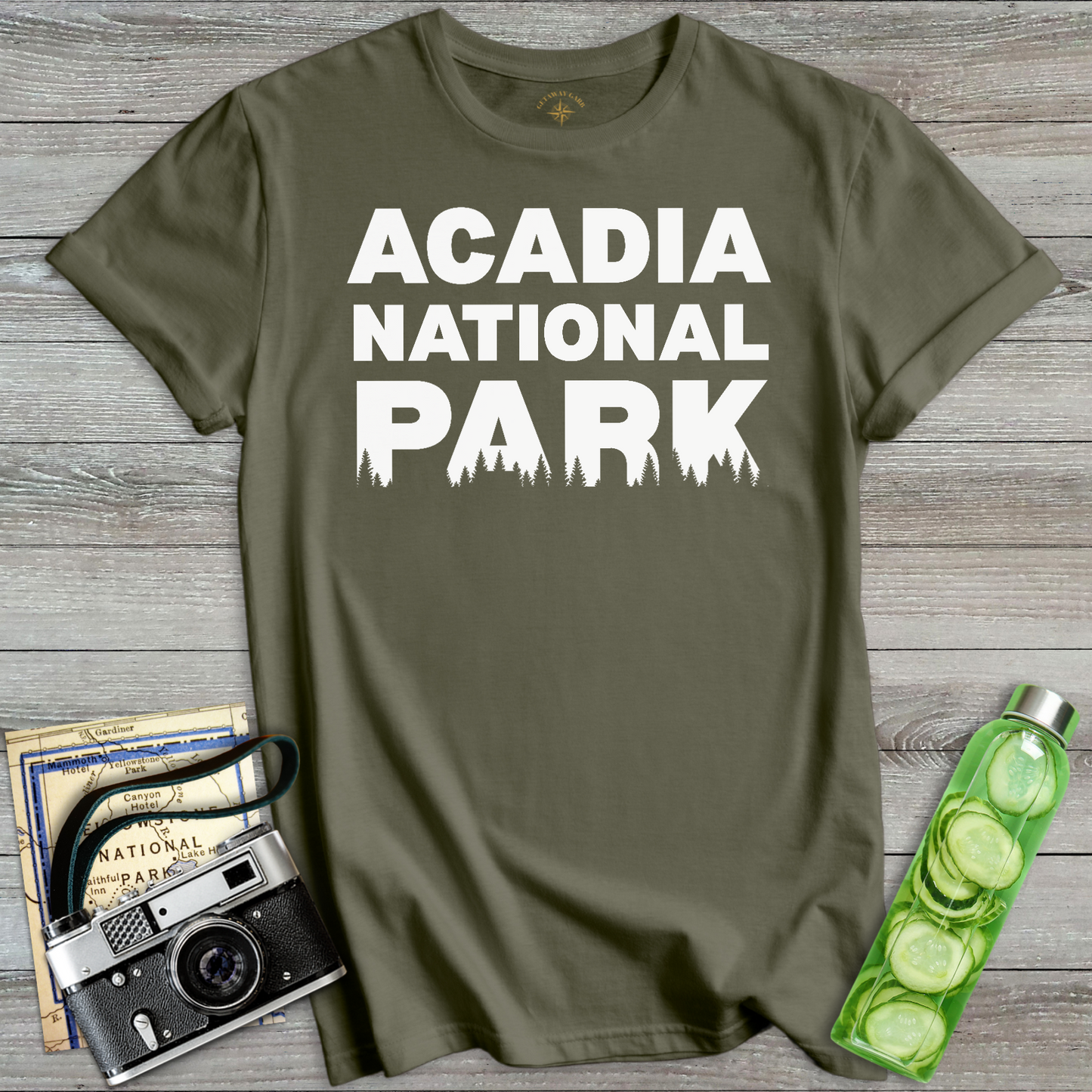 Acadia National Park Classic T-Shirt