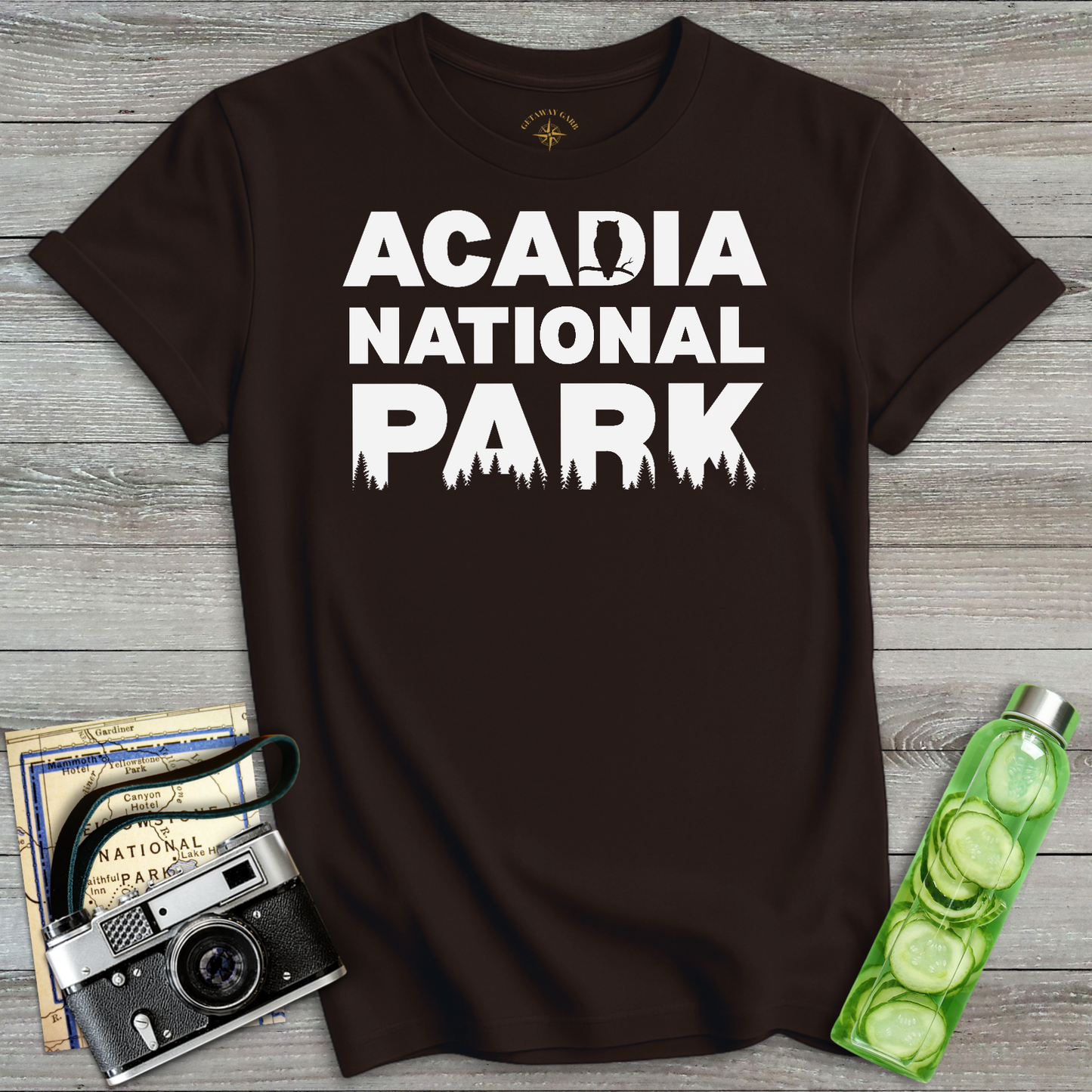 Acadia National Park T-Shirt