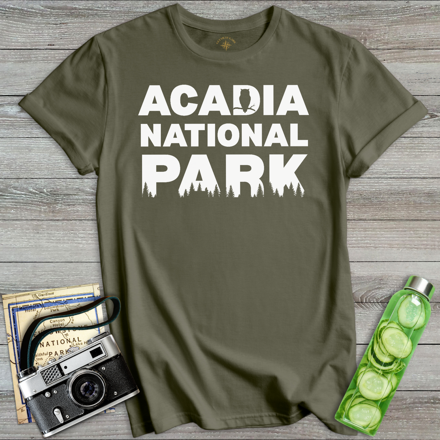 Acadia National Park T-Shirt